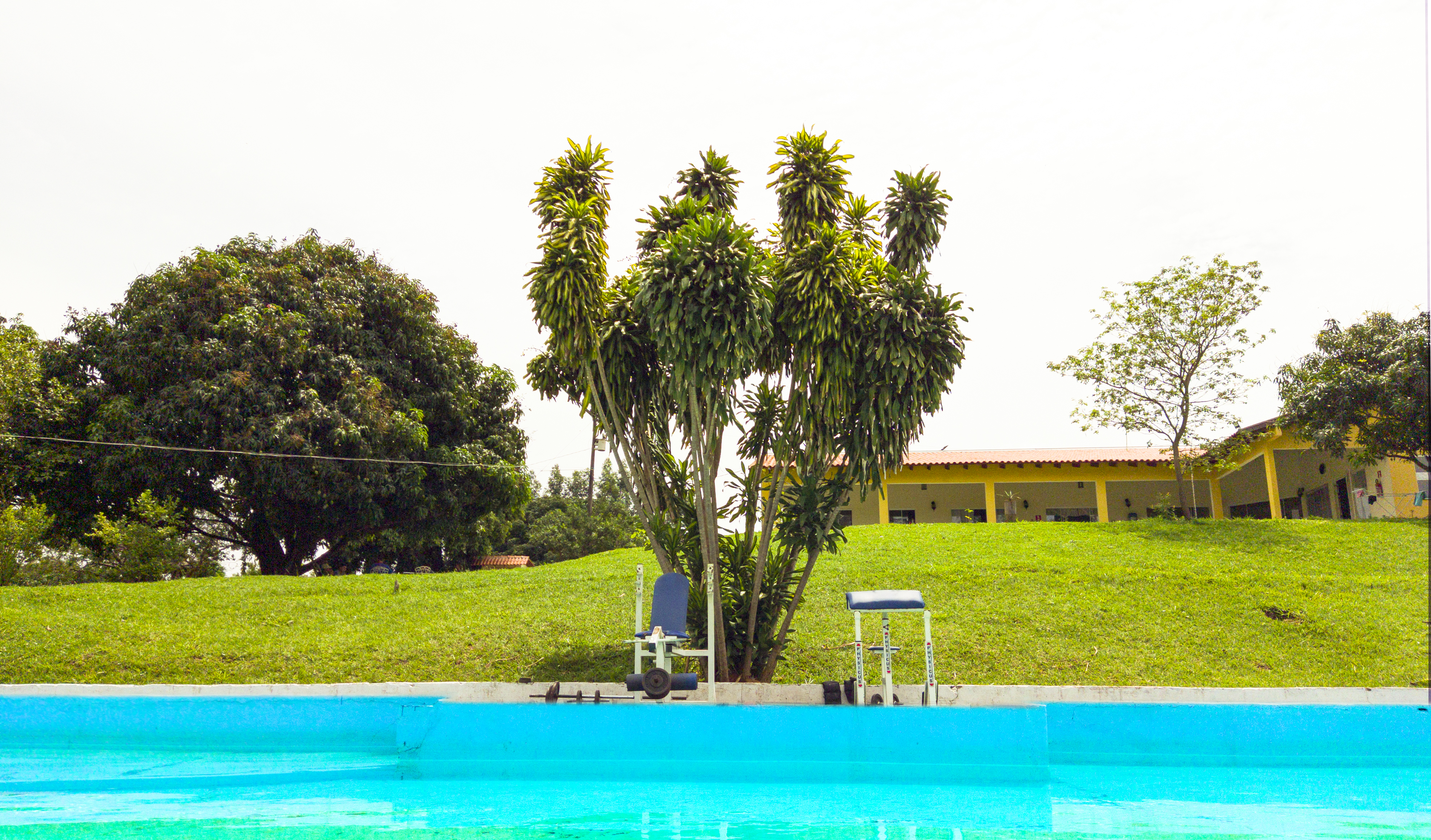 Terceiro Slide